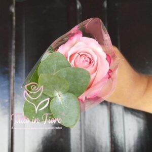 Rosa Embalada Cerimonial 1
